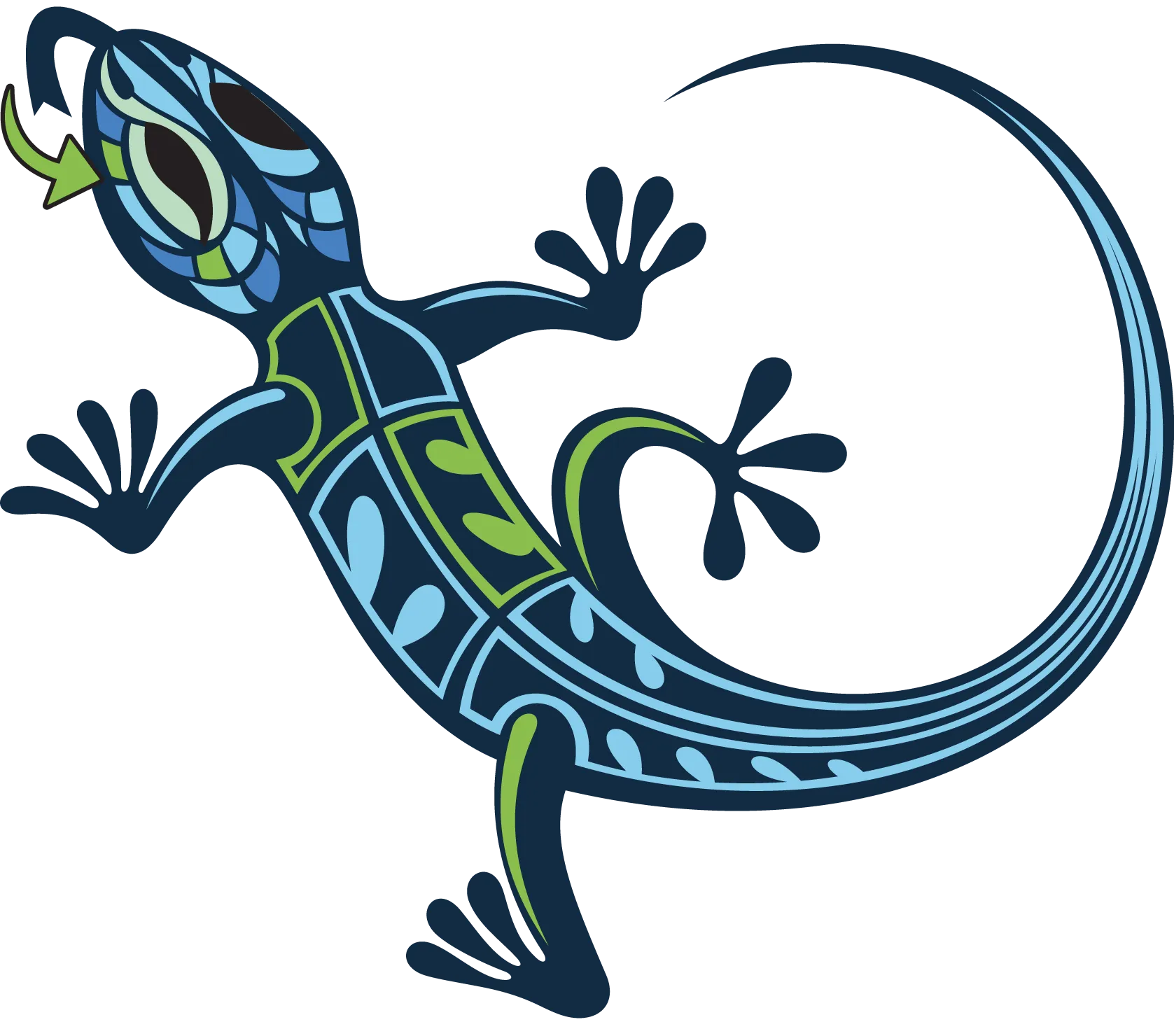 Un petit lézard coloré à longue queue pointue.