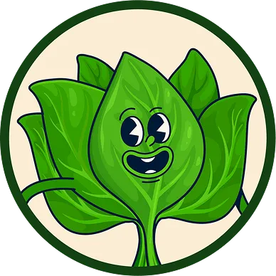 Un bouquet d’épinards avec un visage souriant.