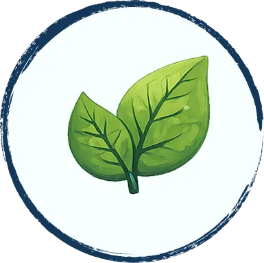 Illustration de deux feuilles vertes.
