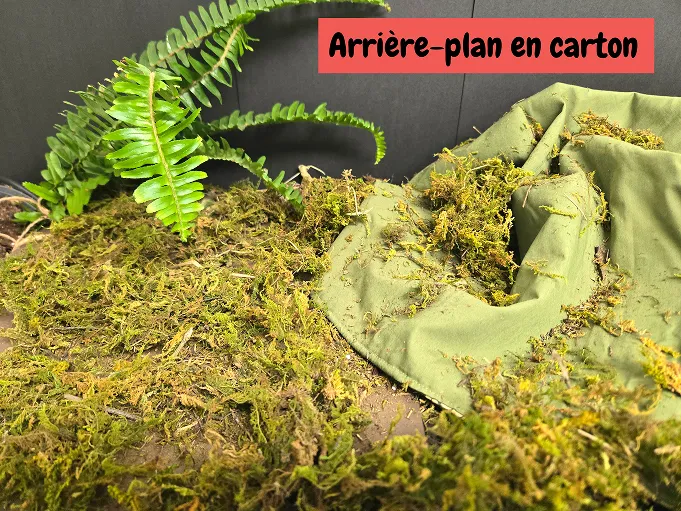 Simulation de forêt constituée d’une fougère, de brins d’herbe étalés et d’un morceau de tissu vert. L’arrière-plan est en carton.