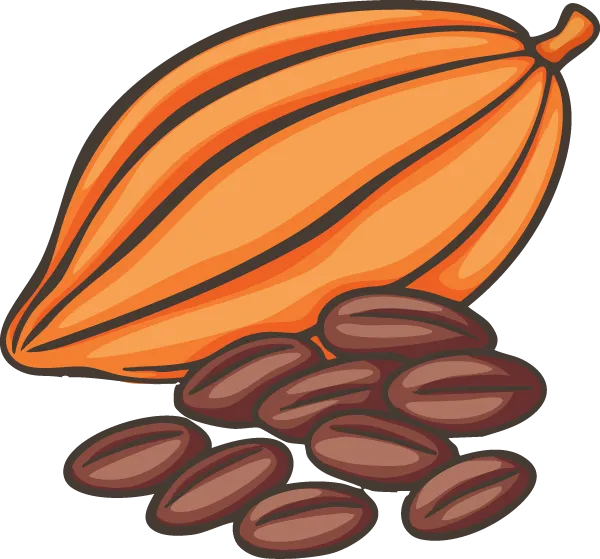 Un fruit et des fèves de cacaoyer, utilisés pour produire du cacao.